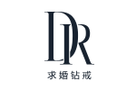 DR钻戒 (Darry Ring)品牌LOGO