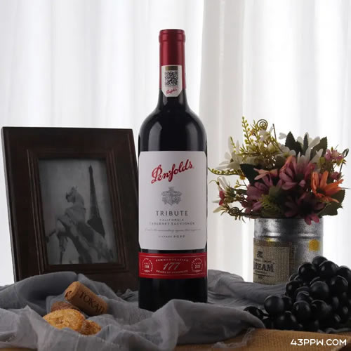 Penfolds (奔富)品牌形象展示