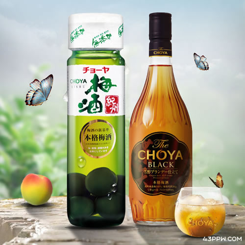 CHOYA 俏雅梅酒品牌形象展示