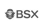 BSX服饰品牌LOGO