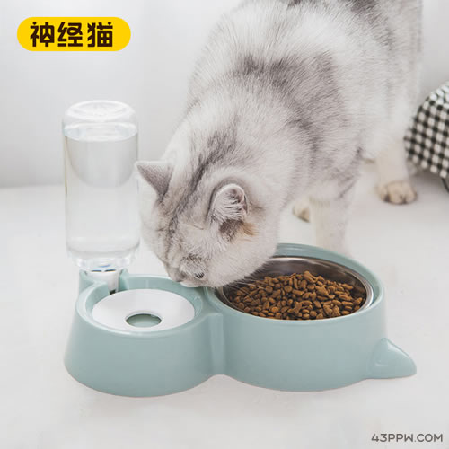 神经猫品牌形象展示