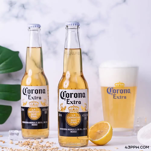 CORONA 科罗娜品牌形象展示