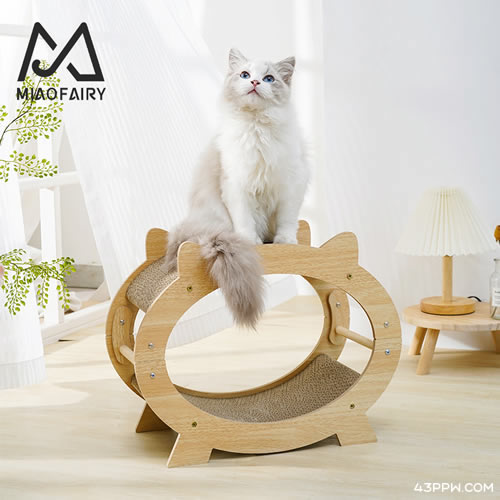 MIAOFAIRY 喵仙儿 (宠物用品)品牌形象展示