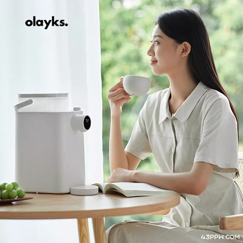 OLAYKS 欧莱克电器品牌形象展示