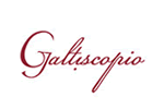 Galtiscopio 迦堤手表