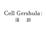 译龄