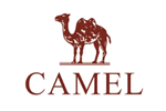 CAMEL 骆驼